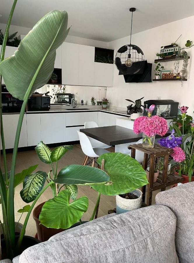Mowgli House - Milano Luxury Apartment Private Room Kültér fotó